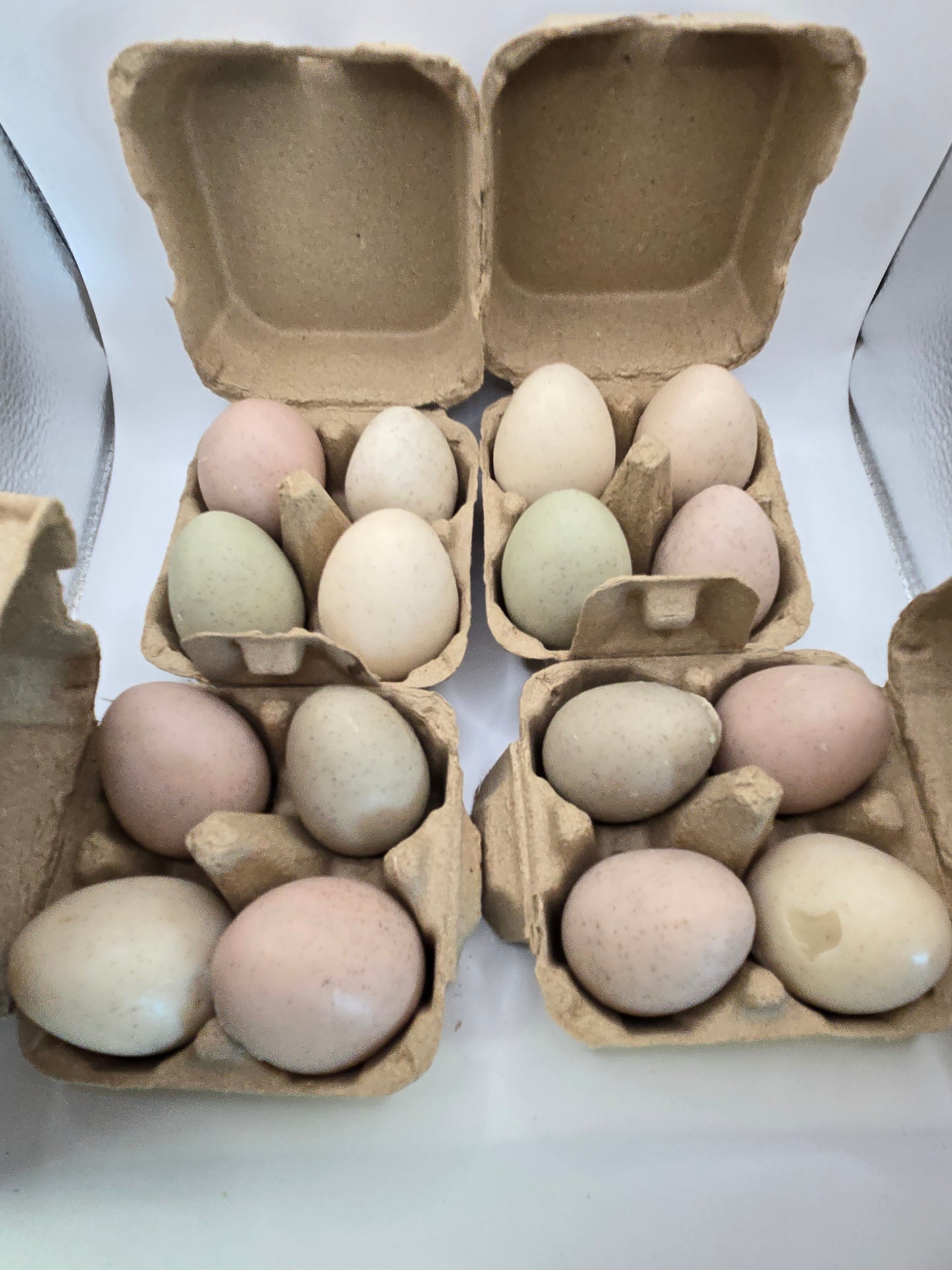 Carton of 4 Goats Milk Soap Eggs