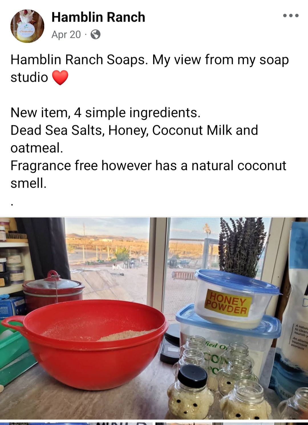 Coconut Honey Bear Bath Salt Soak